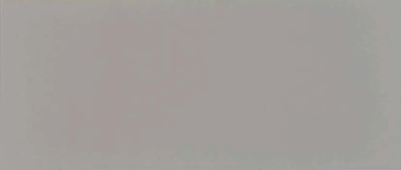 Metal panel swatch in Elegant Silver.