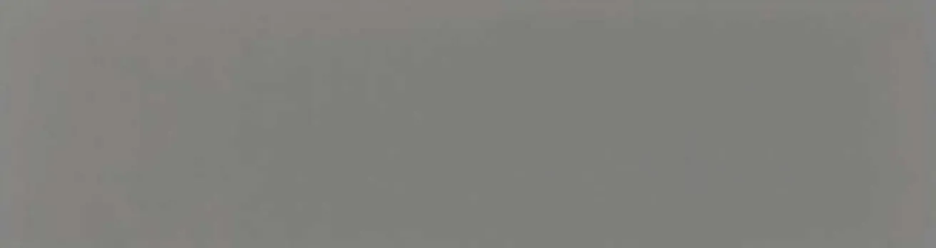 Metal panel swatch in Titanium Gray Silver.