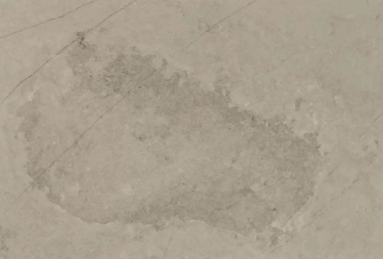 High-gloss marble-effect panel swatch in Plato Slate.