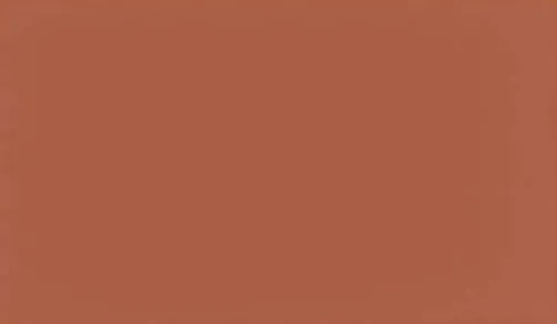 Matte solid-colour panel swatch in Skin Sensory Tropical Orange.