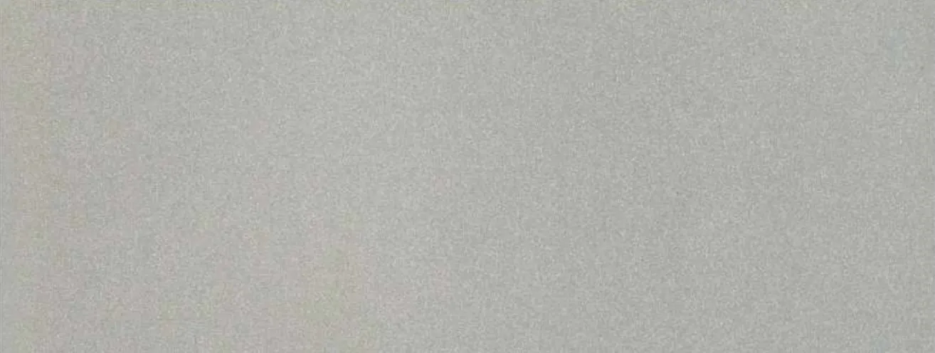 Metal panel swatch in Matte Silver.