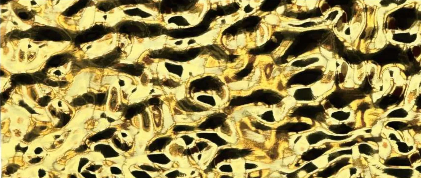 High-gloss decorative panel swatch in Light Gold Water Ripple.